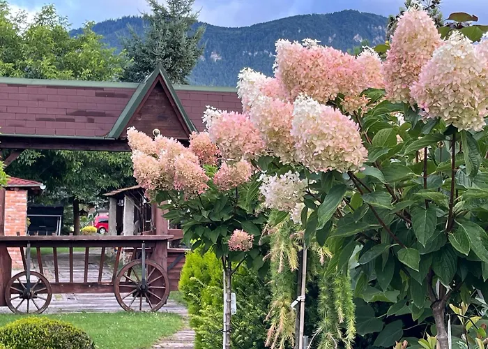 Studiovy - 2 Spalne 2 Kupelne *